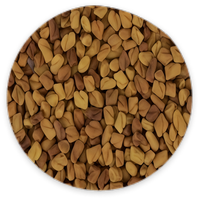 Fenugreek